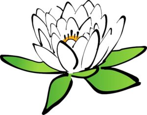 lotus - Baba Murli ORG